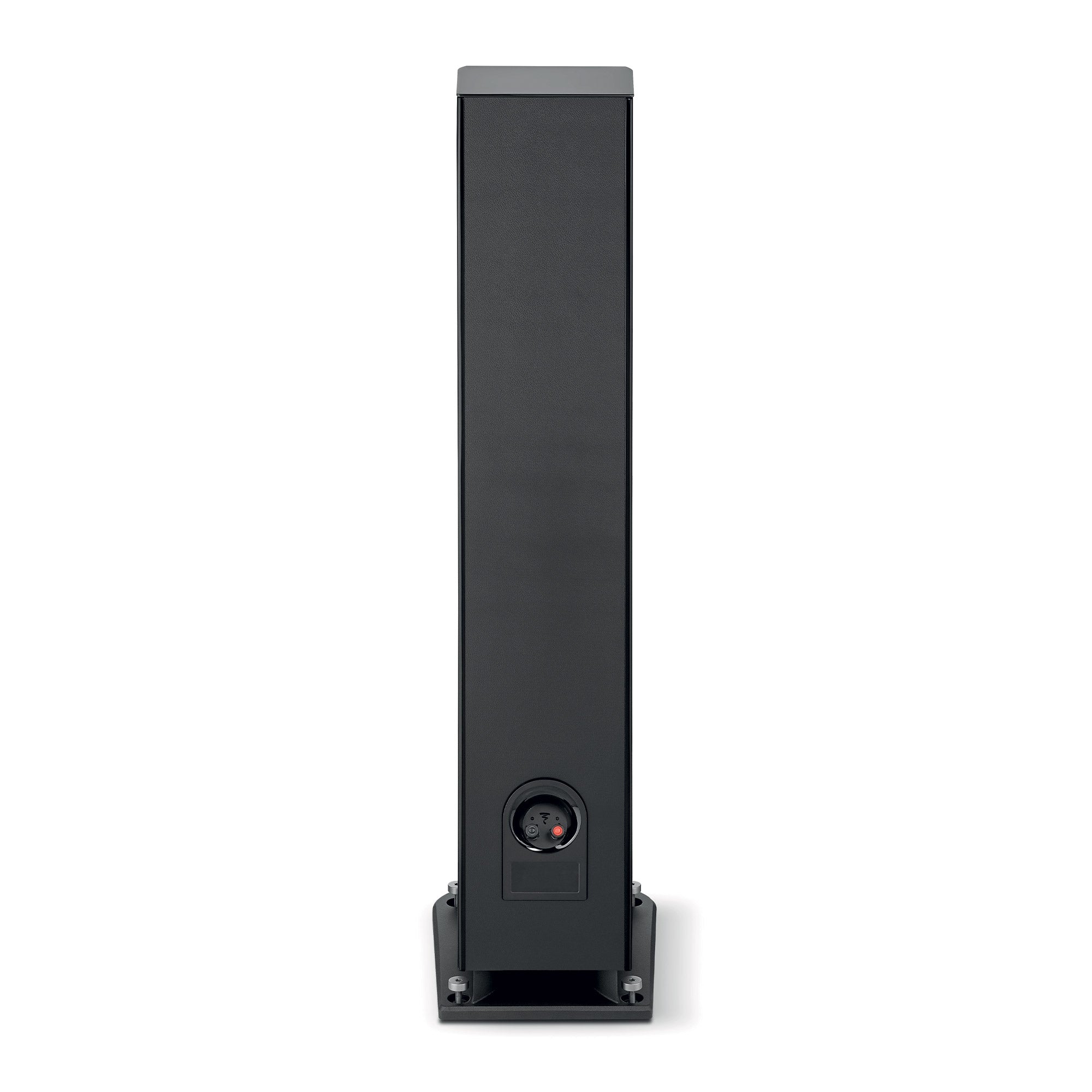 Rear view of Focal Aria Evo X N°3