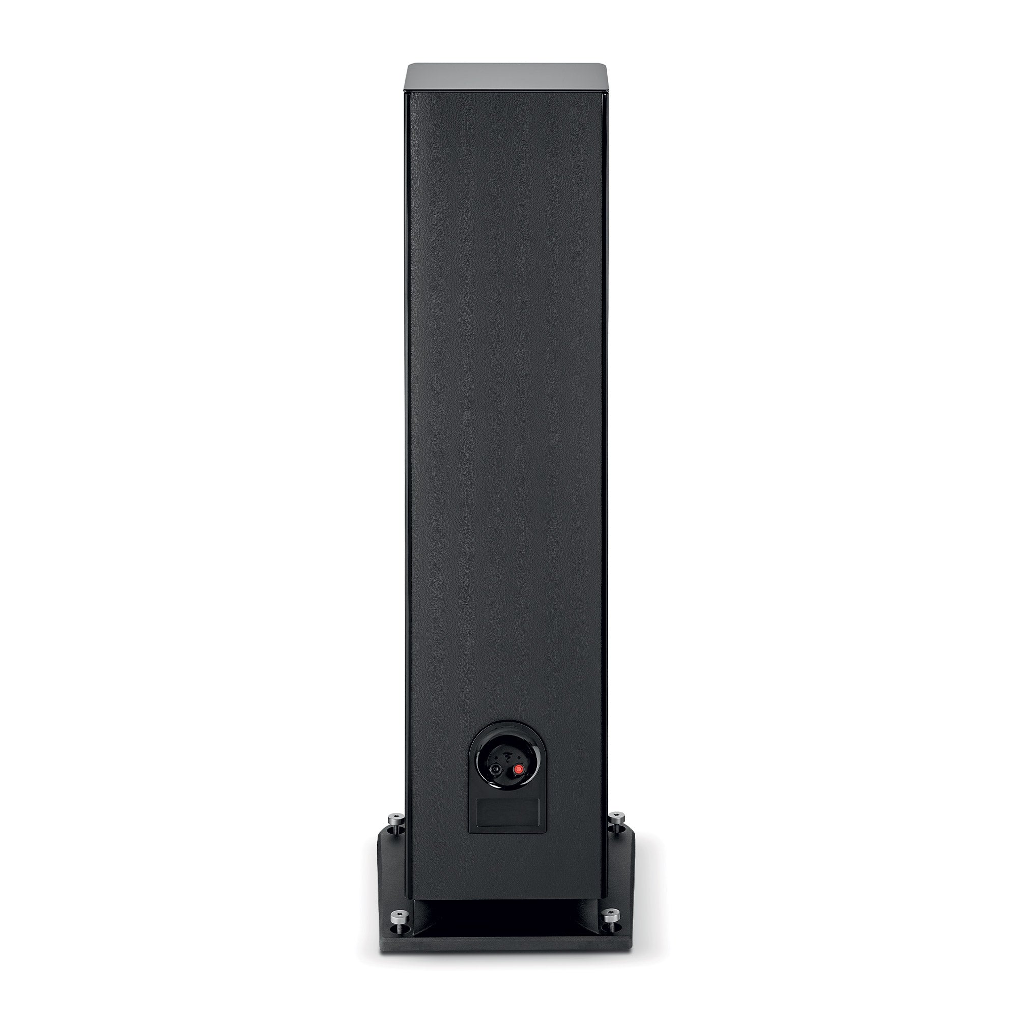 Rear view of Focal Aria Evo X N°4