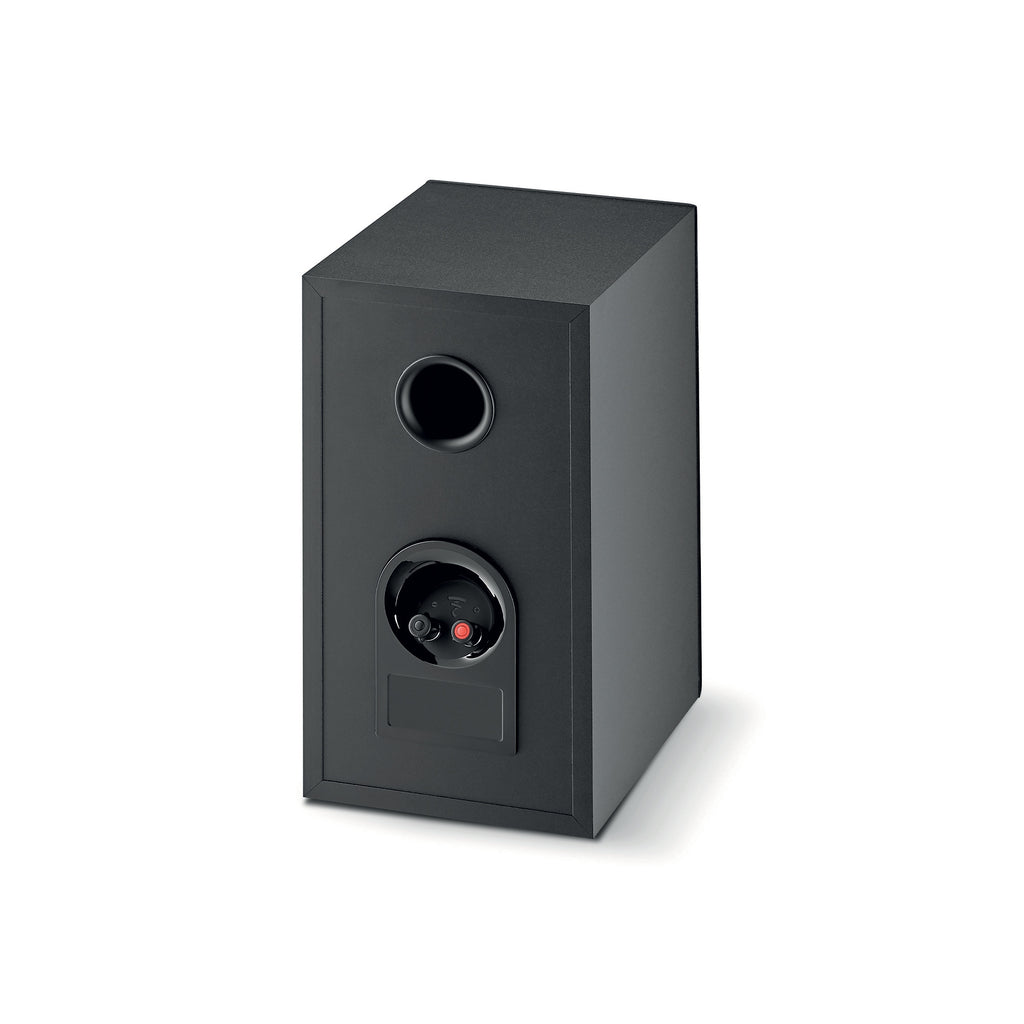 Rear view of Focal Theva N°1