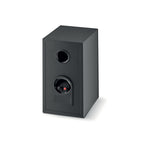 Rear view of Focal Theva N°1
