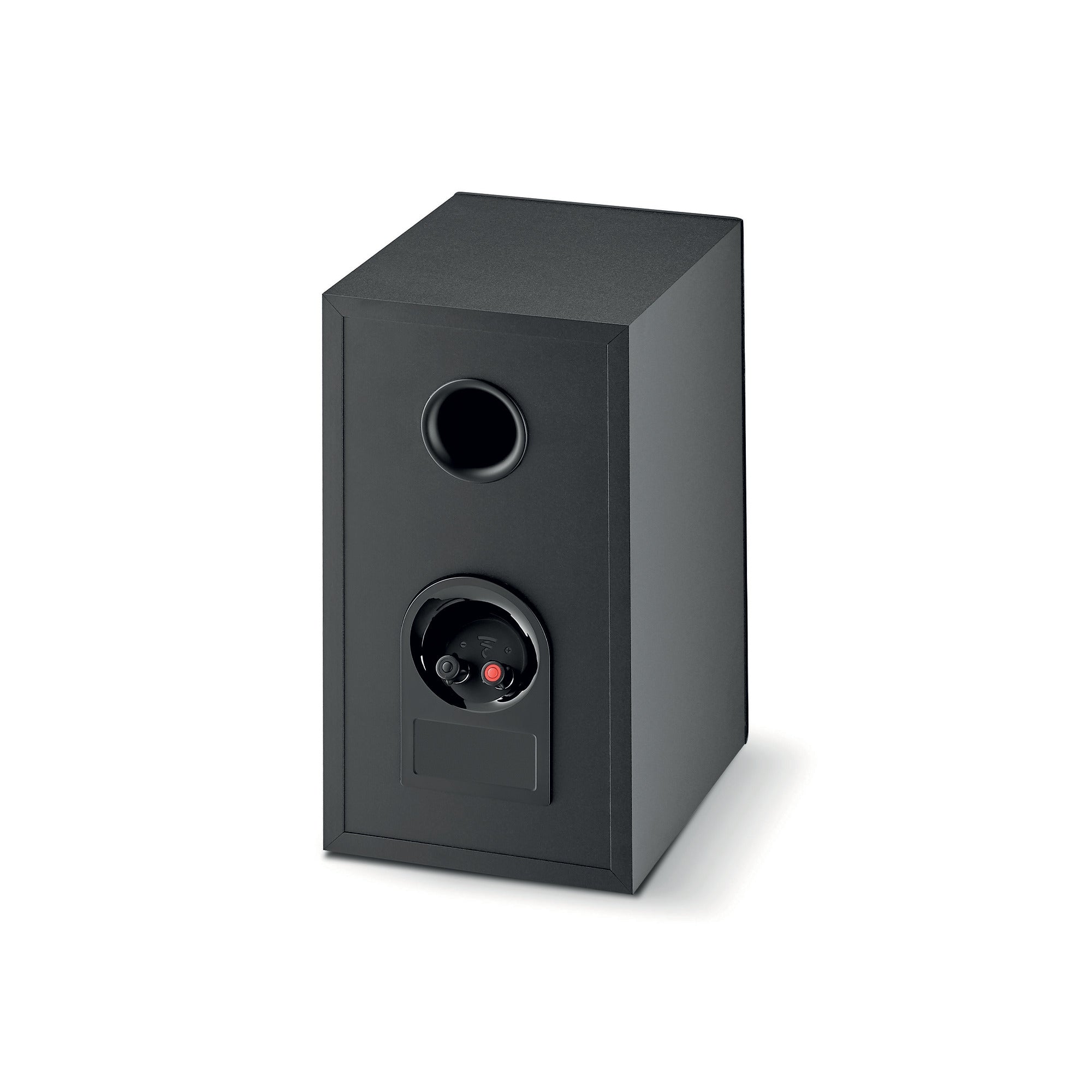 Rear view of Focal Theva N°1
