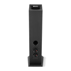 Rear view of Focal Theva N°3D