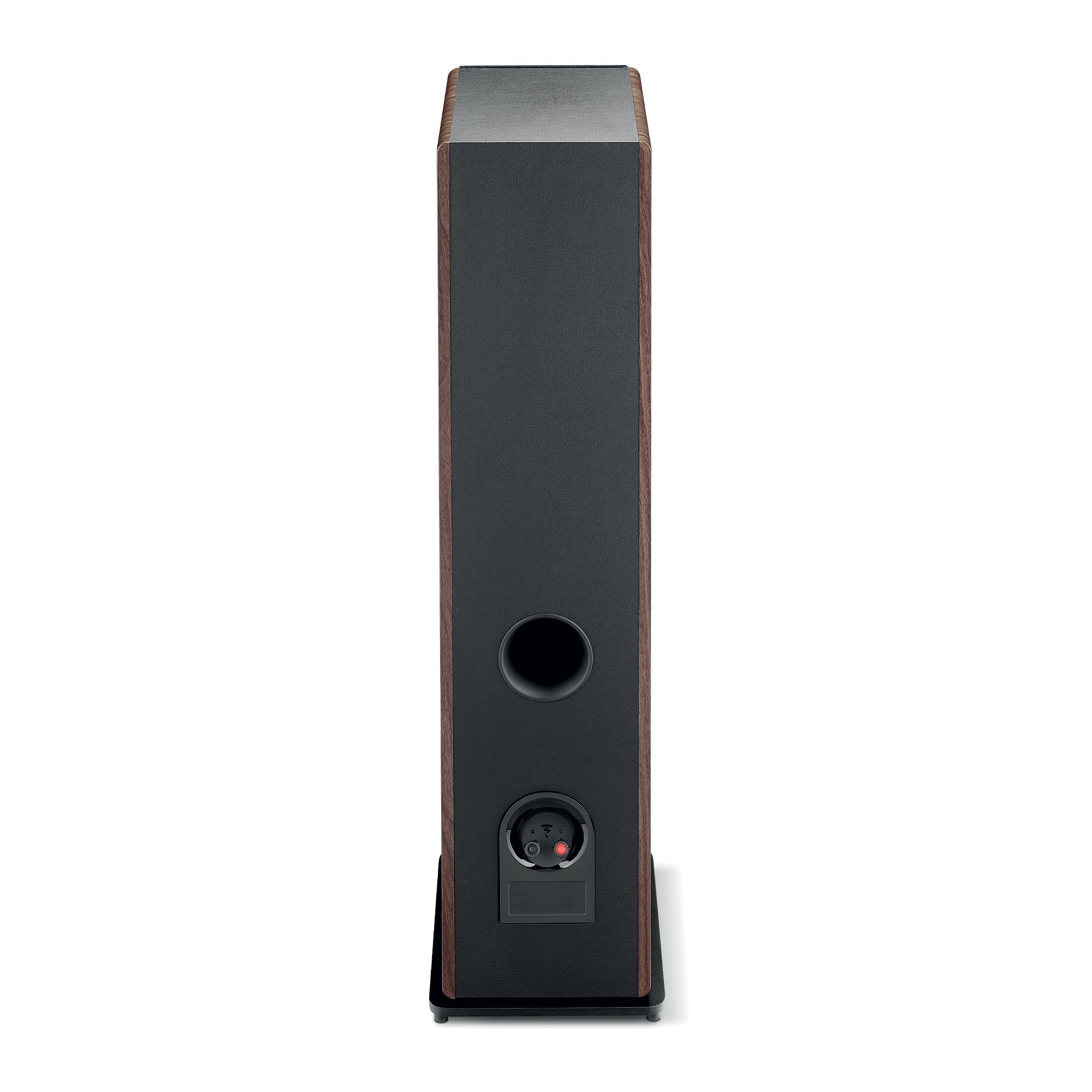 Rear view of Focal Vestia N°2