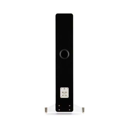 Rear view of Q Acoustics Concept 40       