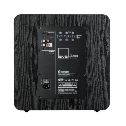 Rear view of SVS SB-2000 Pro