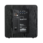 Rear view of SVS SB-2000 Pro