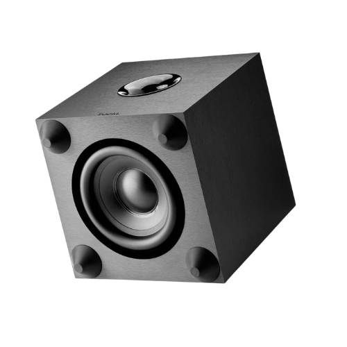 Front view of Focal-Cub Evo